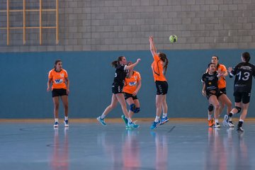 Bild 250 - Frauen OL TuS Esingen - SG Niendorf/Wandsetal : Ergebnis: 24:17